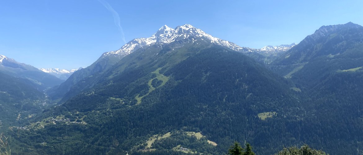 Mont Pourri 3779