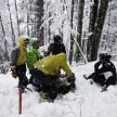 Dokaz, da se v gozdu ob mokrem sveže zapadlem snegu ni za hacat brez čelade!