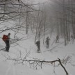 V meglenem gozdu nad Žagarjevim grabnom, zimske markacije so slabo vidne.