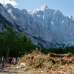 Presenečenje na področju plazu - (poceni) delovna sila iz Azije se loteva gozdarskih del tudi v Sloveniji
