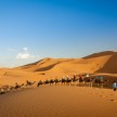 S kamelami v puščavo