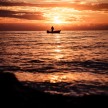 Osamljen ribič lovi še bolj osamljene ribe v izropanem Jadranskem morju.