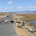 Dnevni prizor pri vožnji skozi Tibet