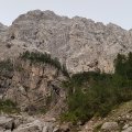 Travnik iz Tamarja