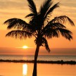 Sončni vzhod na peščeni plaži pod palmami