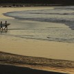 Surferji na plaži v Las Palmas-u